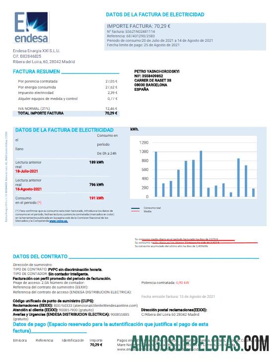 realista ESPANHA ENDESA Conta de serviços públicos modelo Word e PDF